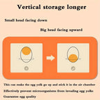 Sinkelle 32-Count Egg Organizer