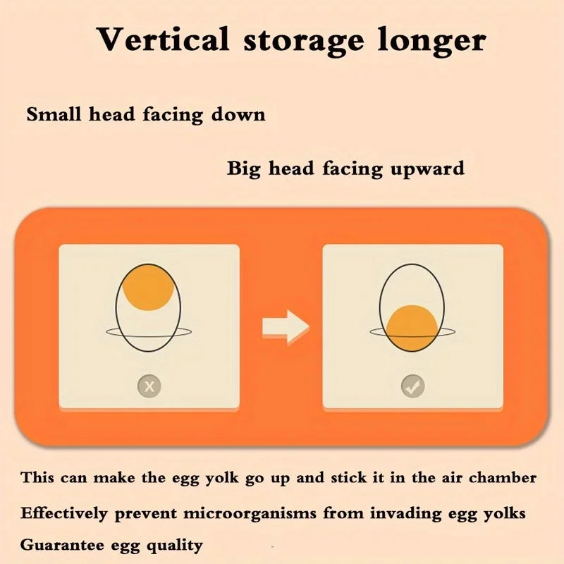 Sinkelle 32-Count Egg Organizer